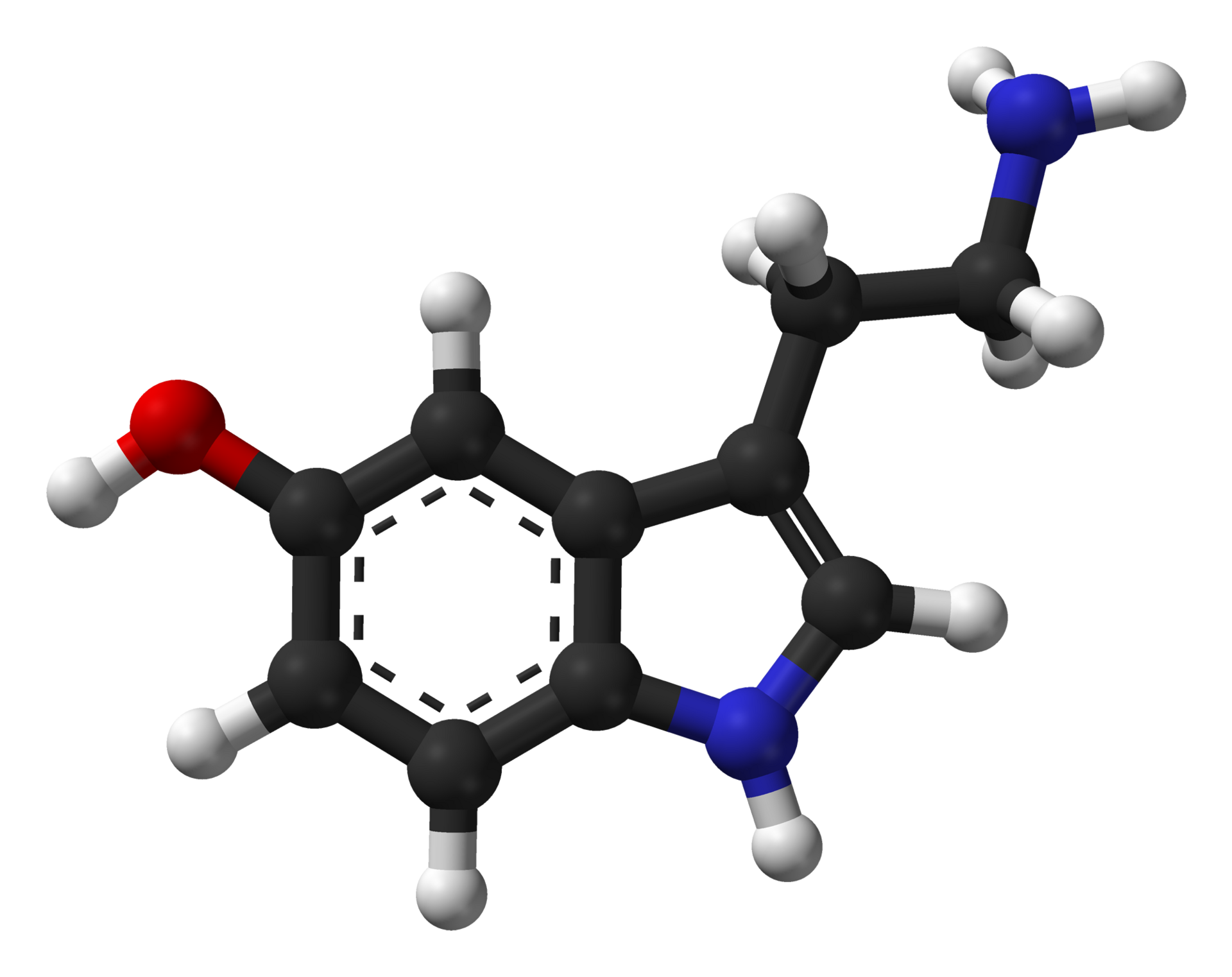 Serotonin-3D-Molecule